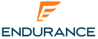 Endurance logo